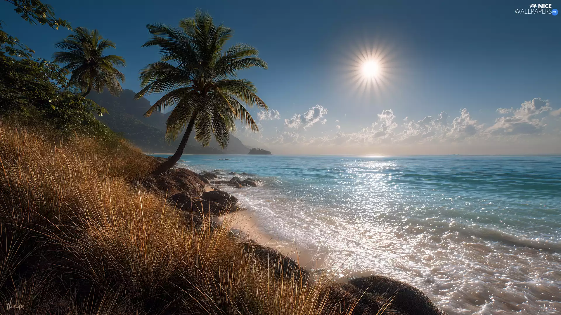 Ocean, grass, sun, sea, slope, Palm, Sky