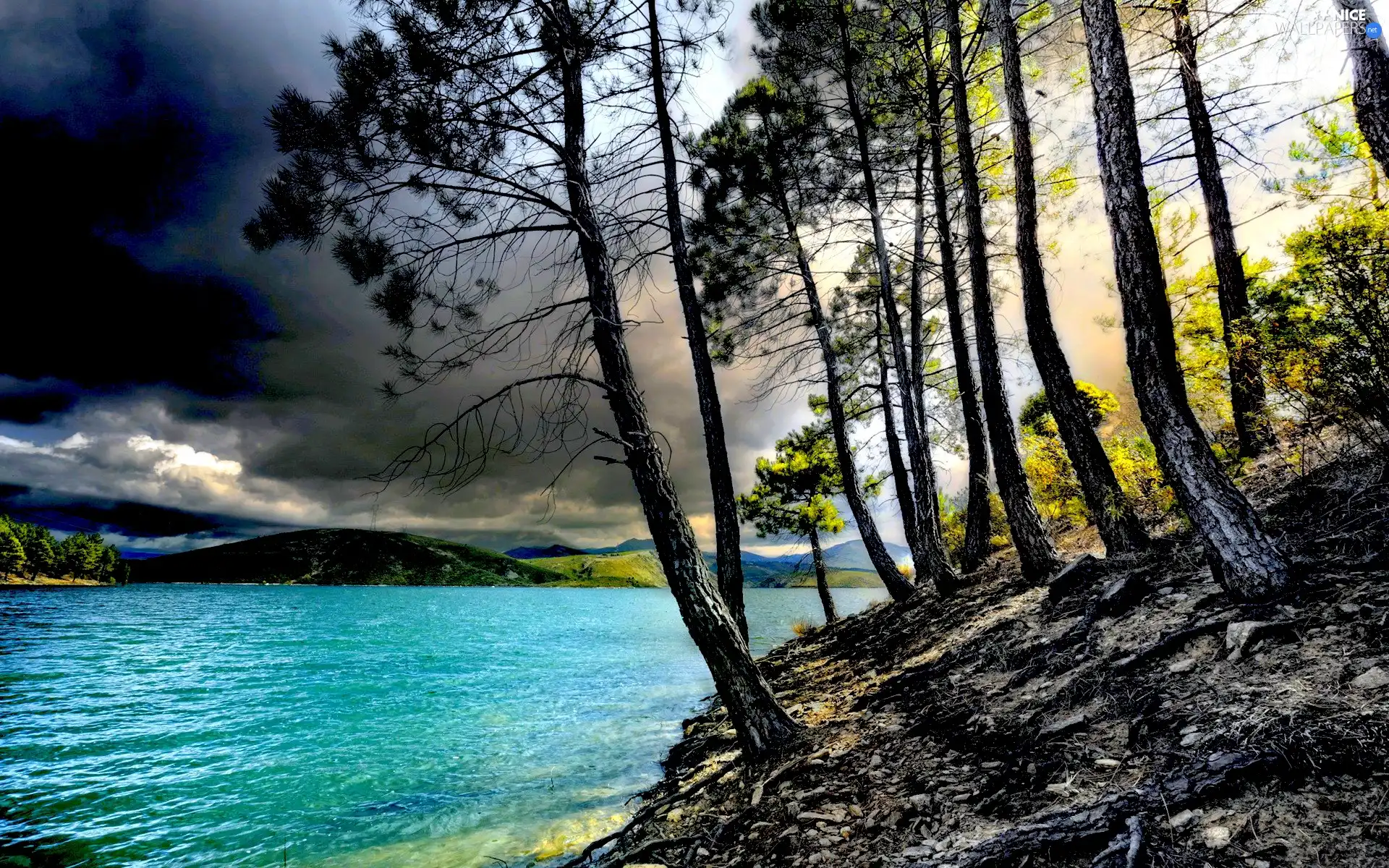 trees, clouds, sea, viewes