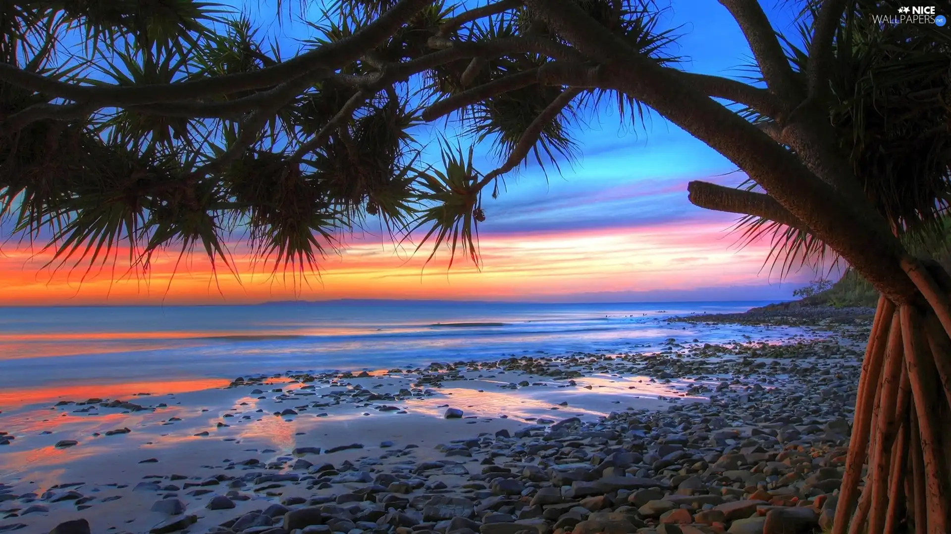 sea, trees, sun, Beaches, west