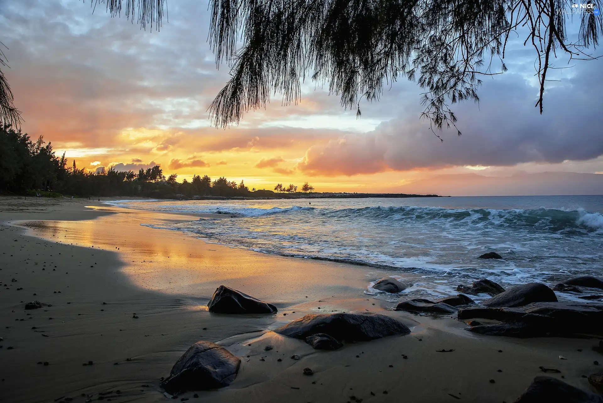 sea, Coast, Beaches, Waves, clouds, Great Sunsets, trees, viewes, Stones