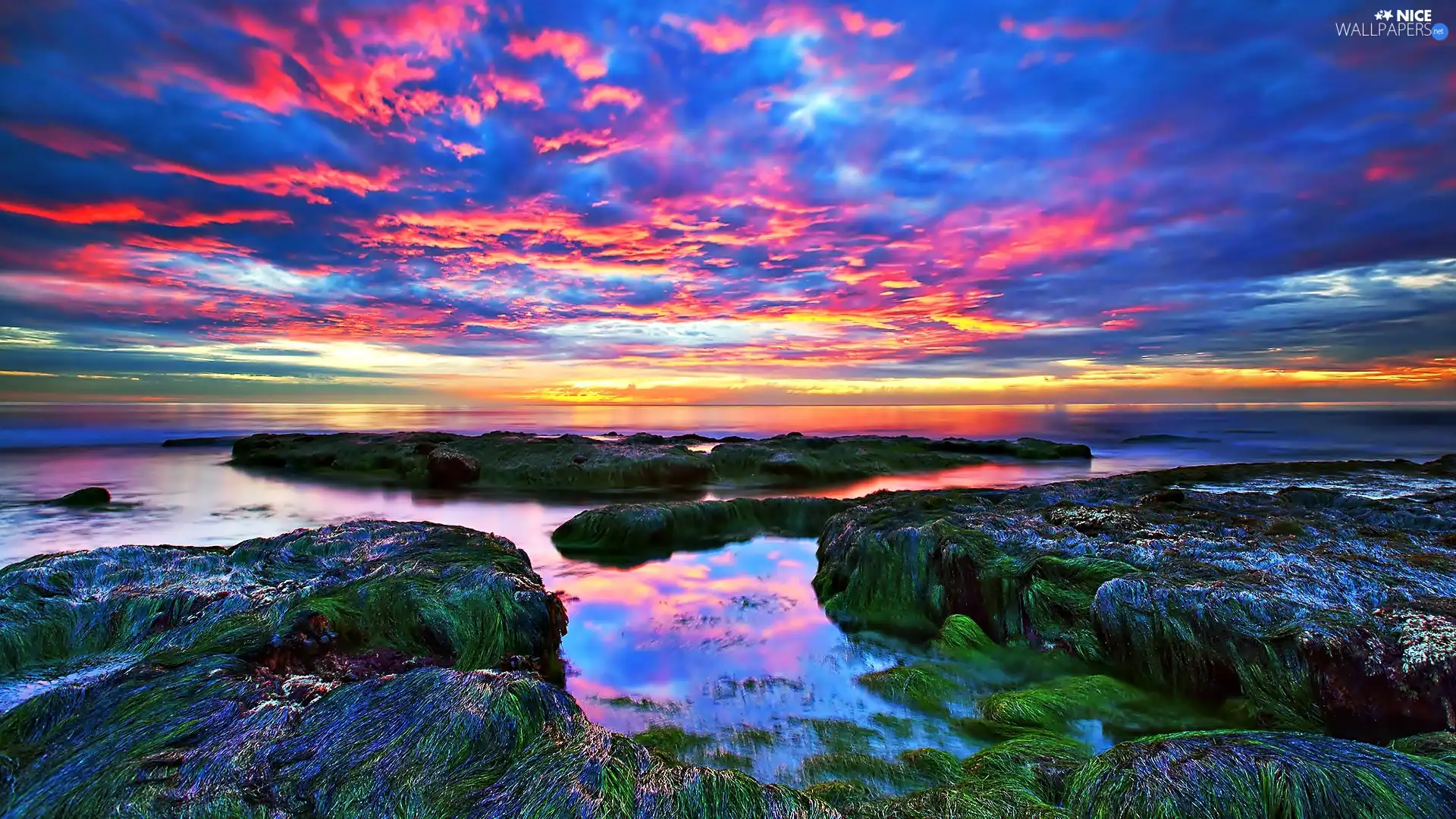 seaweed, Stones, sea, rocks, Great Sunsets