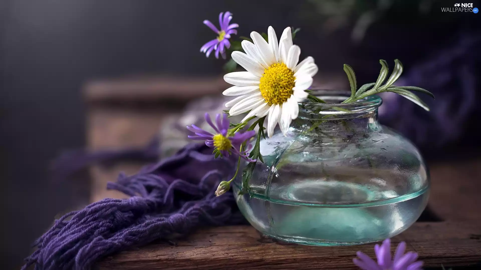Flowers, glass, Aster, shawl, pyrethrum, vase