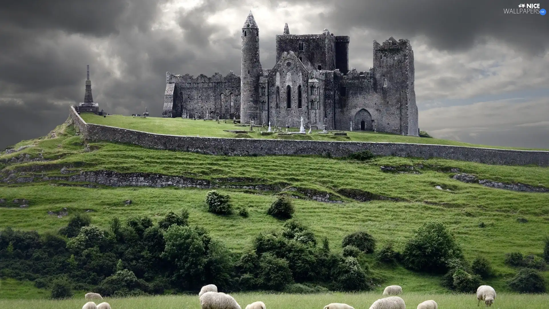 Sheep, Castle, Hill