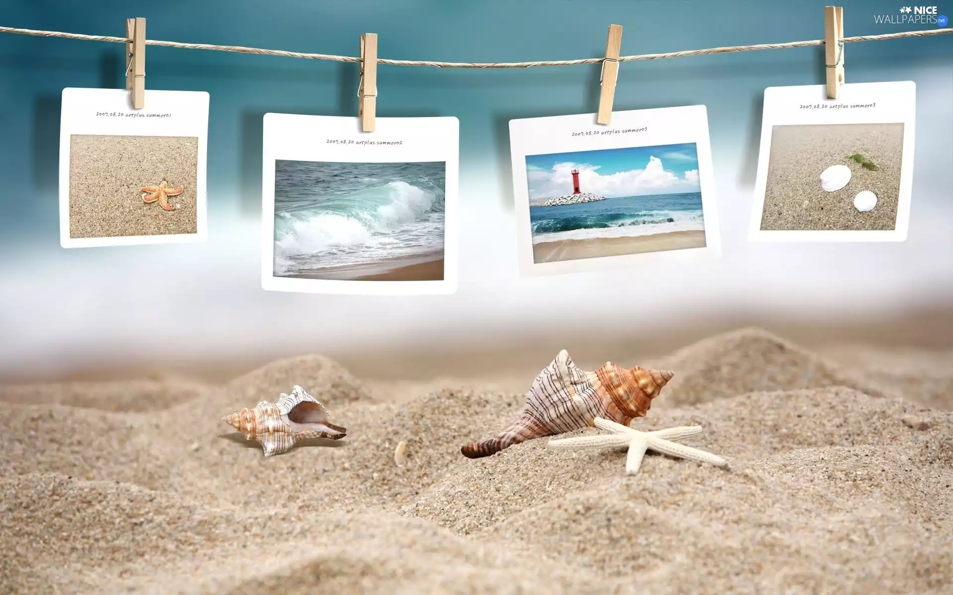 Beaches, Sand, postcards, Shells