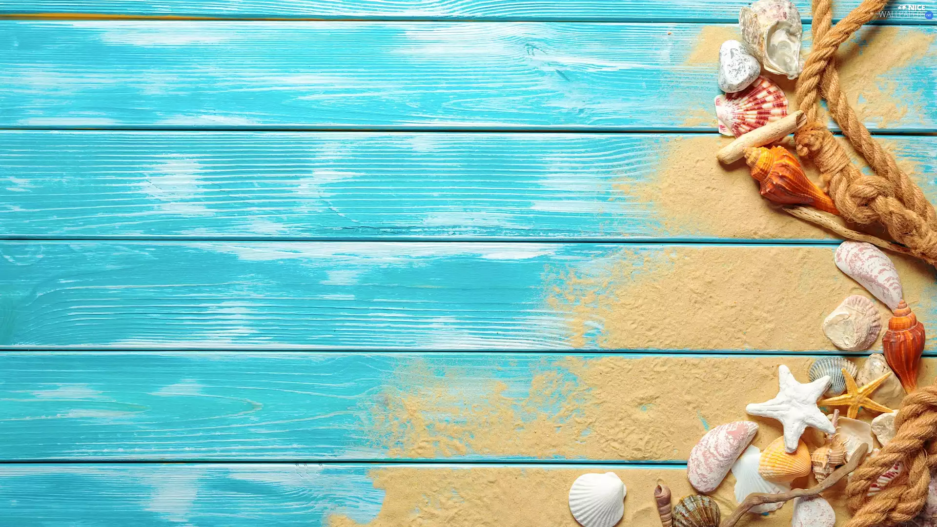 Sand, starfish, Blue, Shells, composition, line, boarding