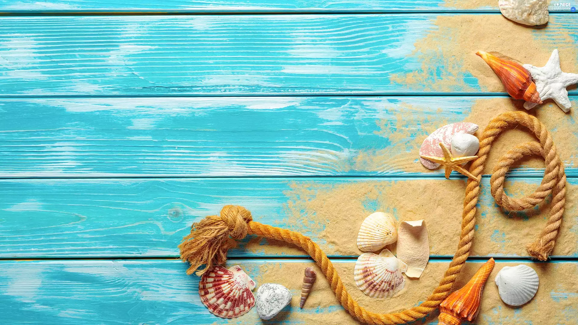 line, starfish, Blue, Shells, composition, Sand, boarding