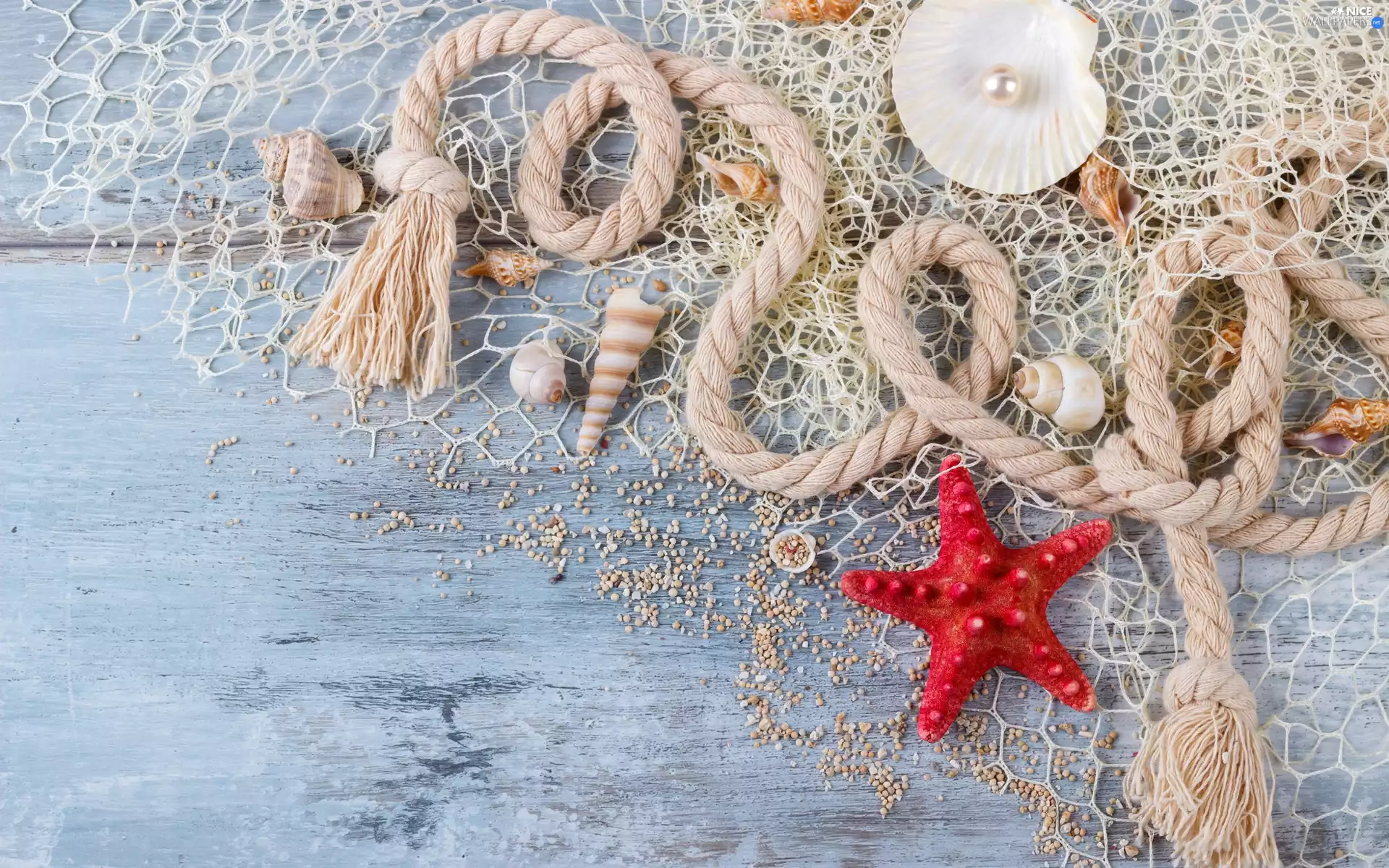composition, line, boarding, Shells