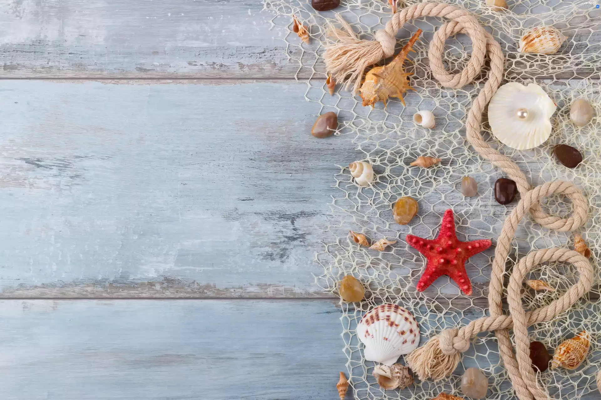 starfish, net, pearl, Shells, line, Pebble, boarding