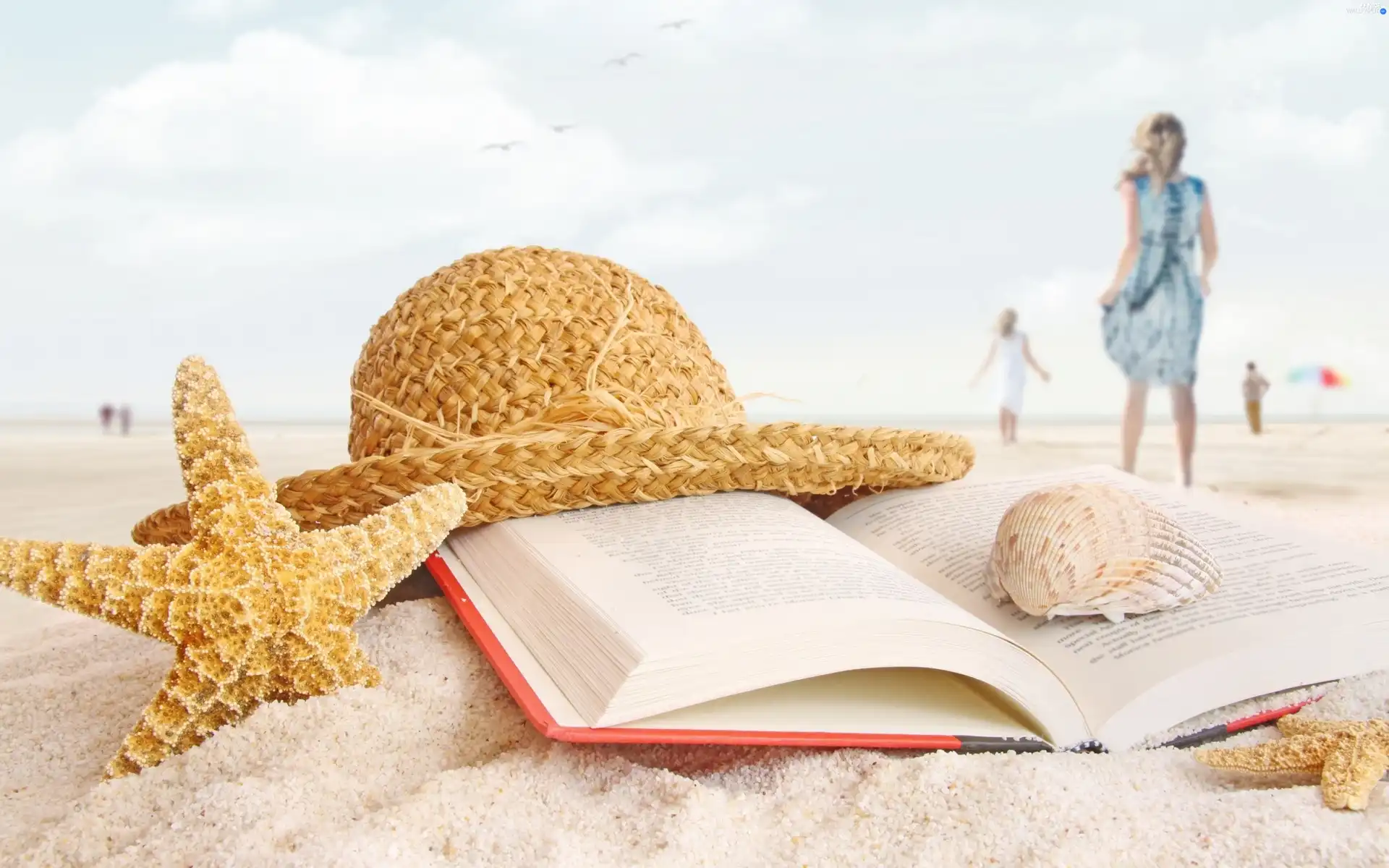 Hat, Beaches, starfish, holiday, Shells, Book