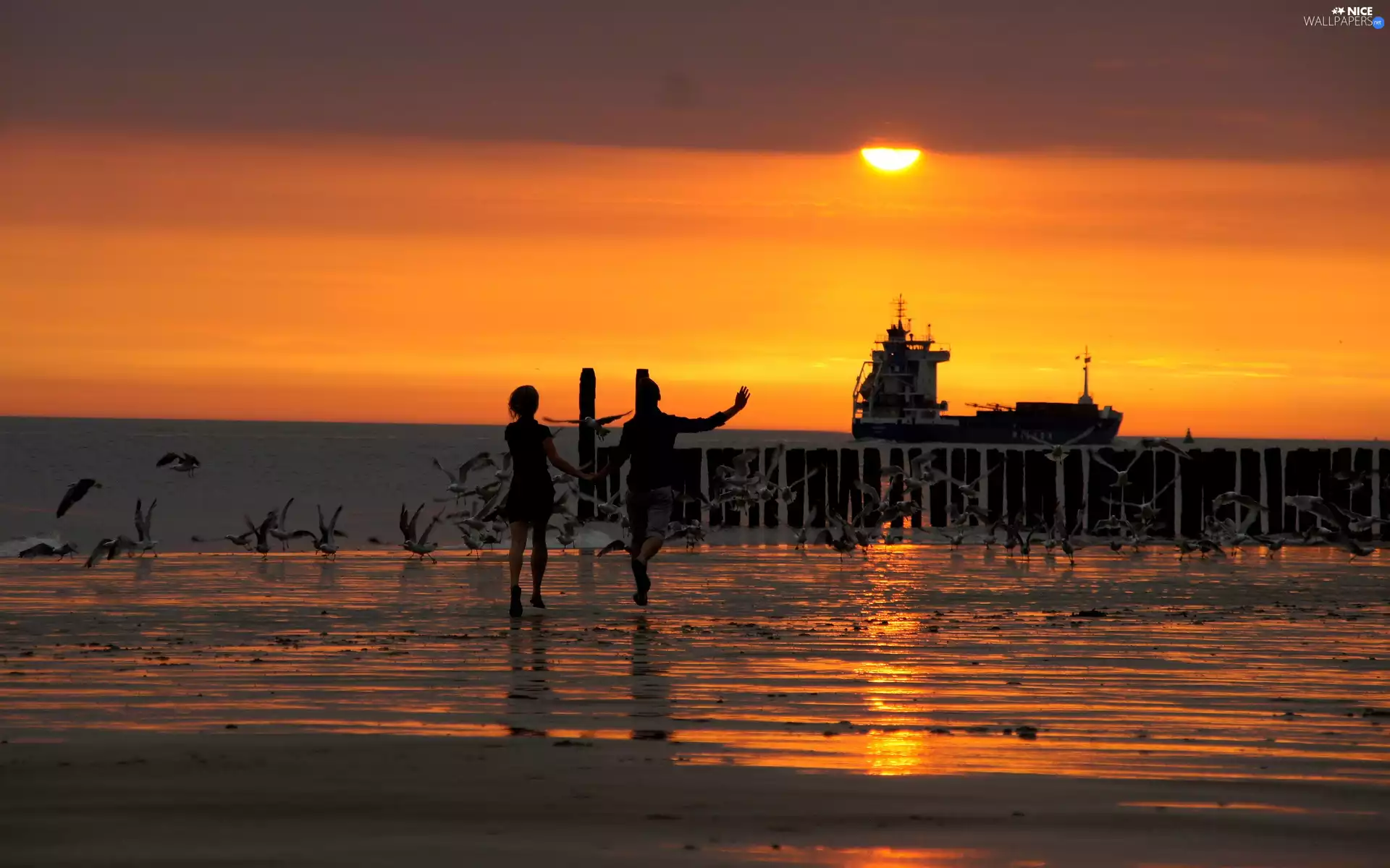 Ship, Steam, Beaches