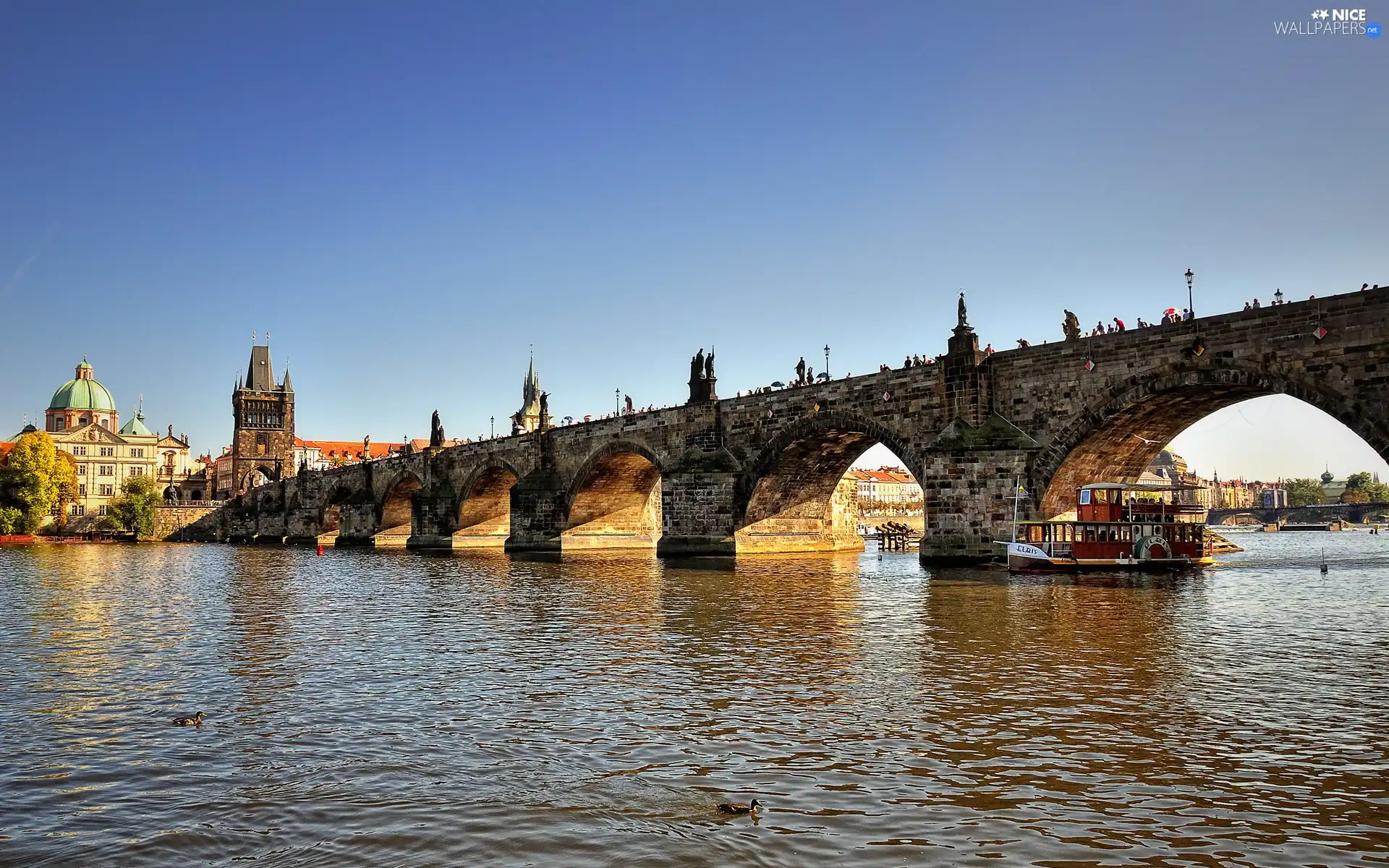 Ship, cruise, River, ducks, bridge