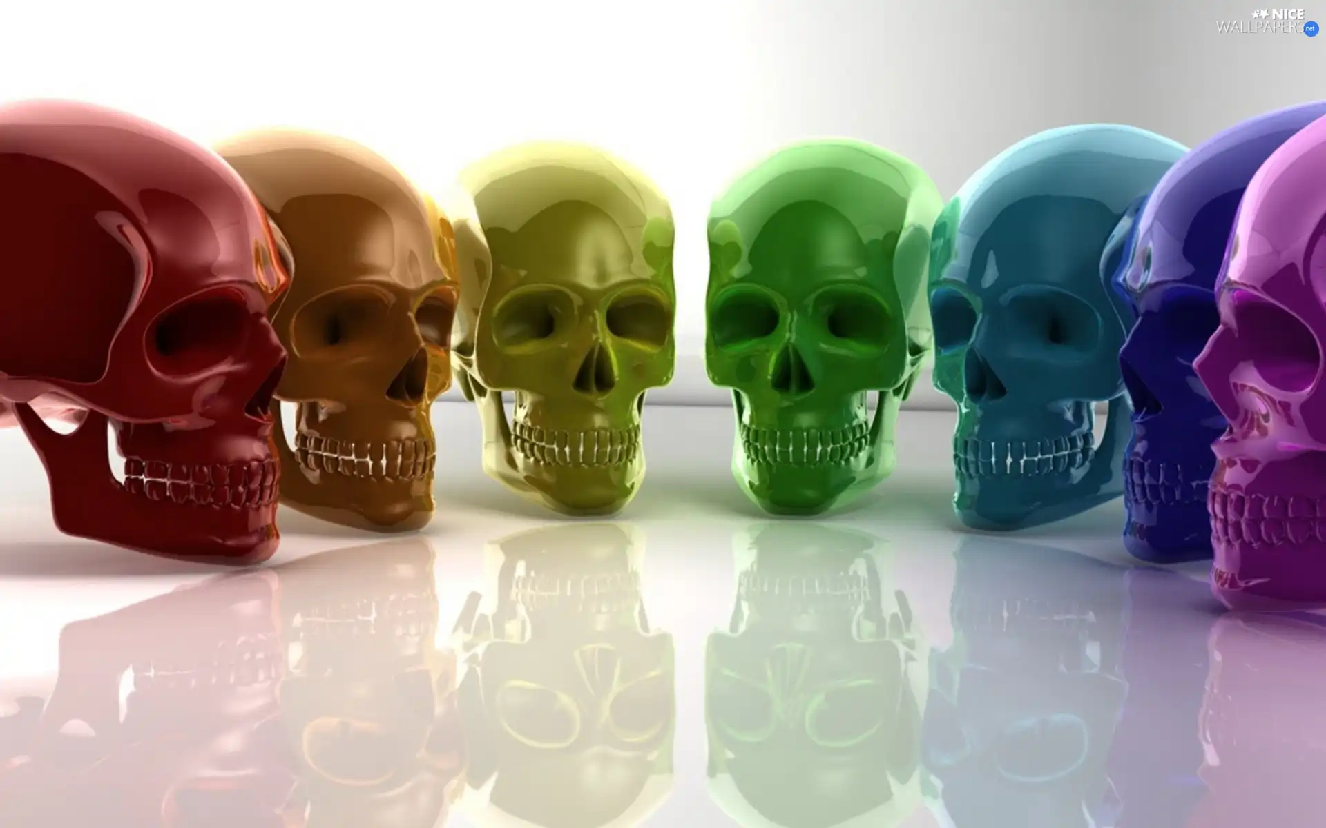 color, the skull