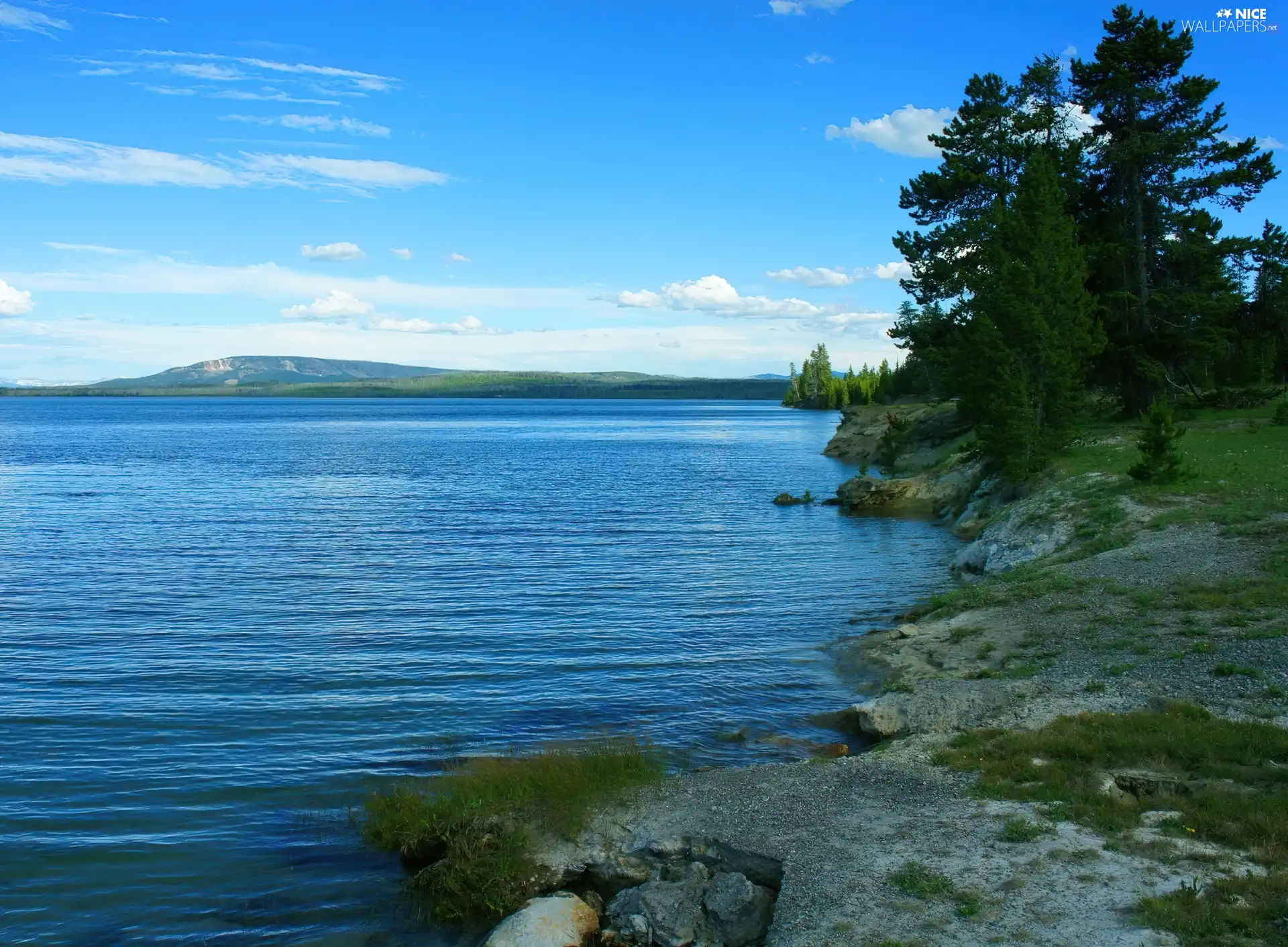 beatyfull, Spruces, Sky, lake