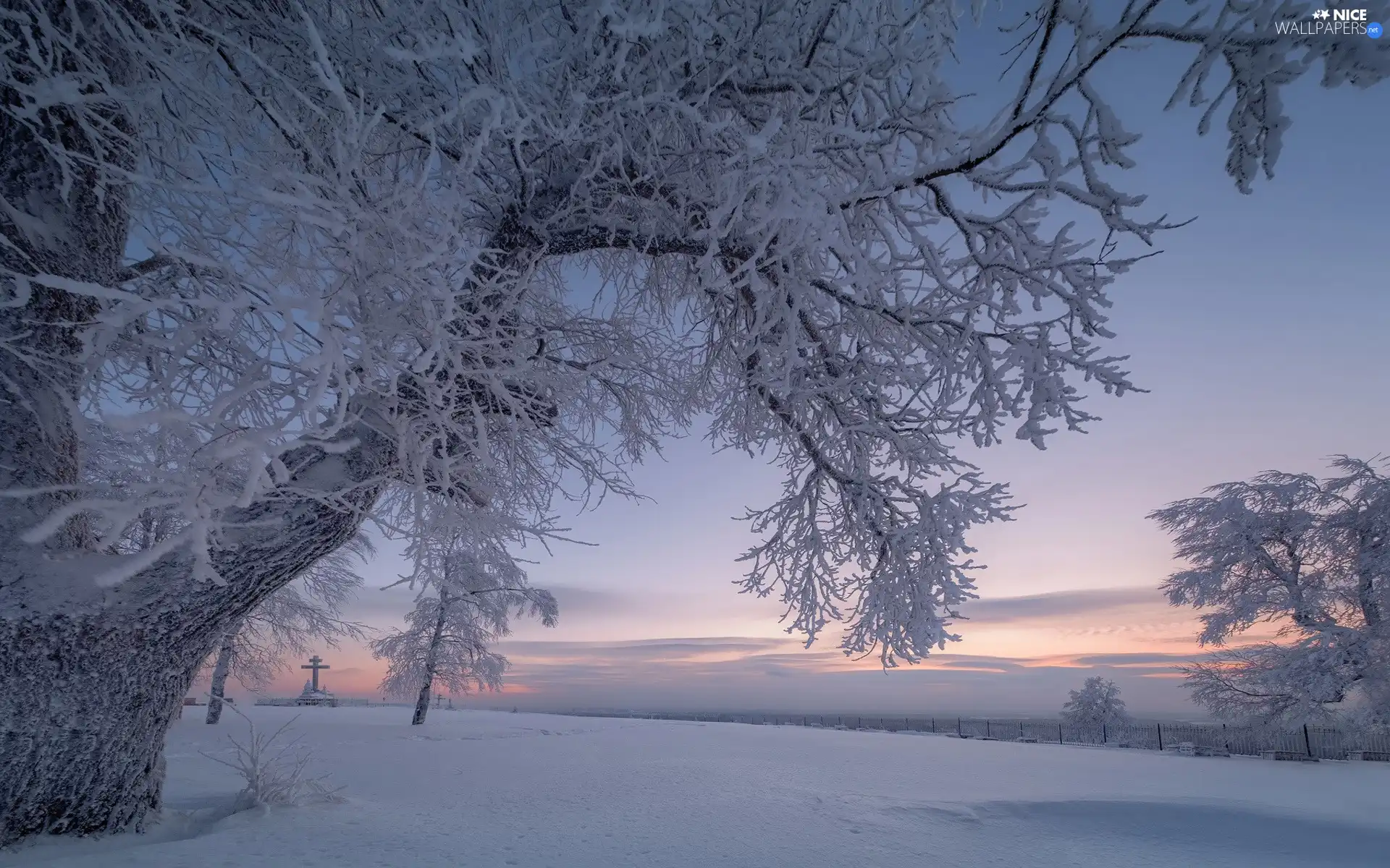 trees, snow, branch pics, Snowy, winter, viewes, Sky