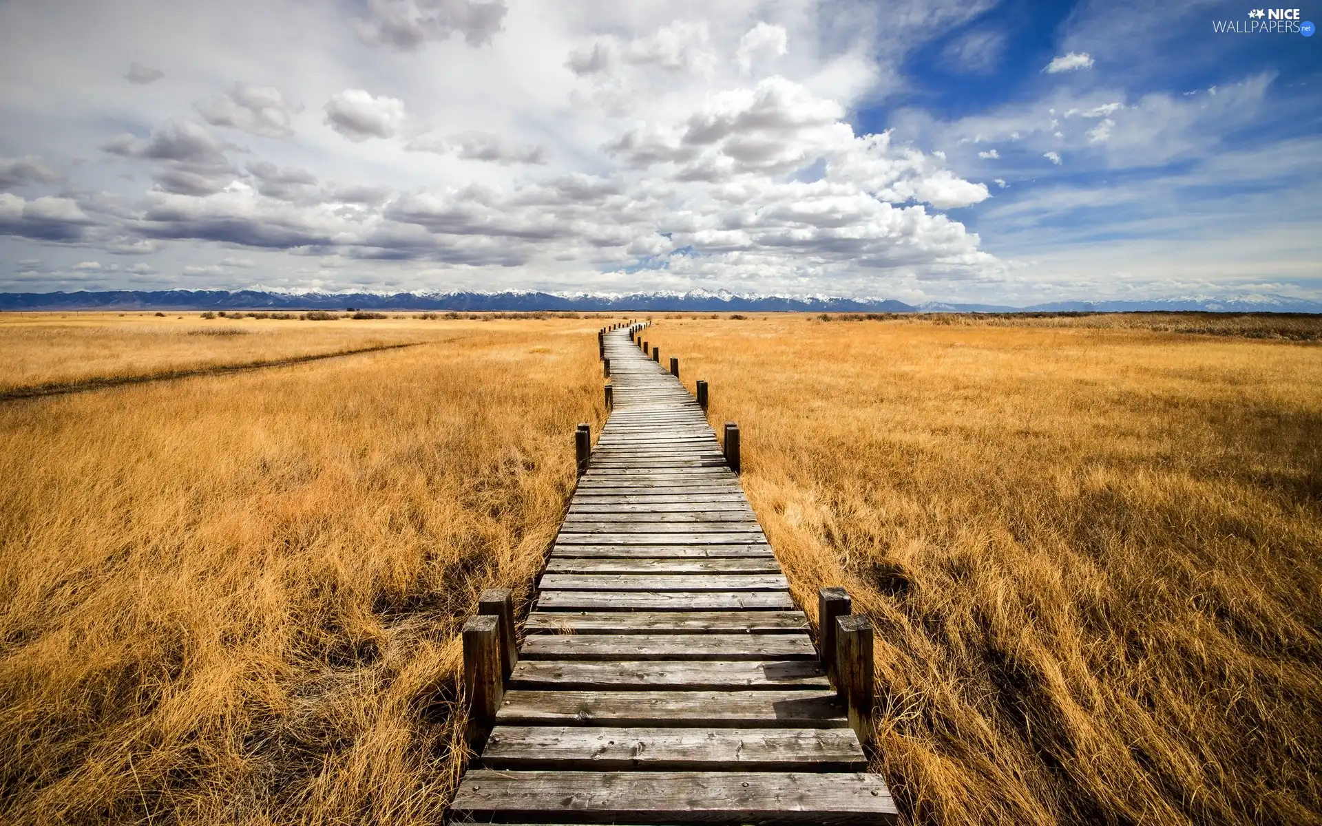 Sky, clouds, wooden, bridges, field