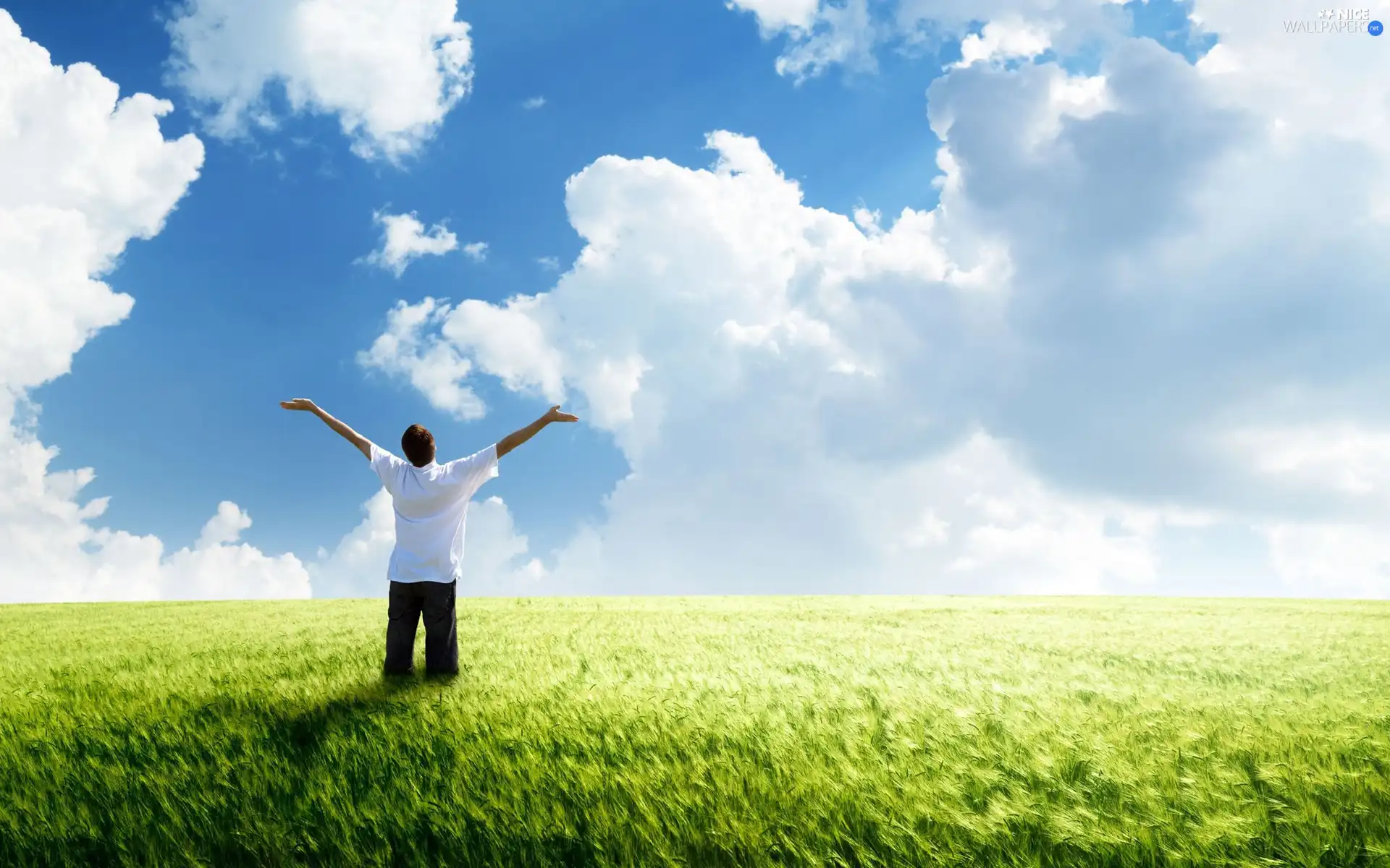 Sky, clouds, cereals, a man, Field