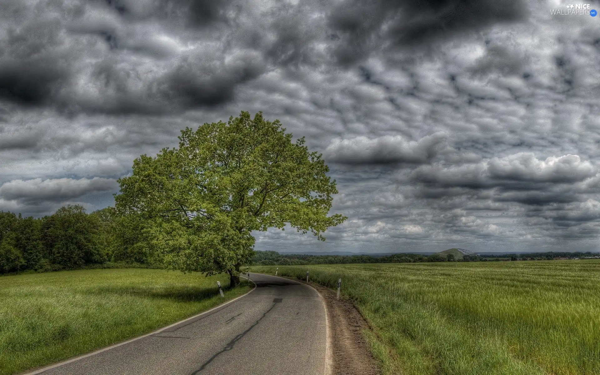 Sky, Way, Clouds