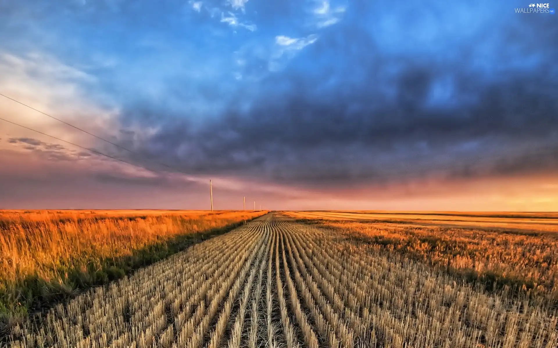 field, energy, Sky, Line