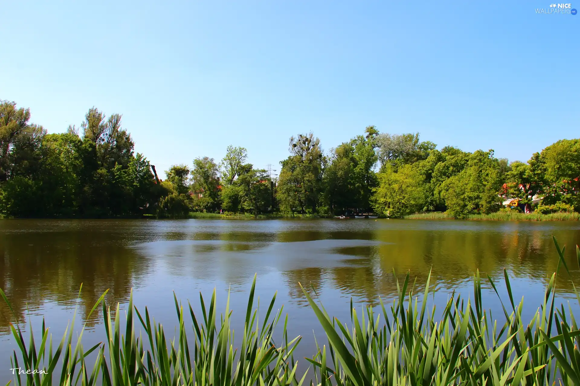 lake, viewes, Sky, trees