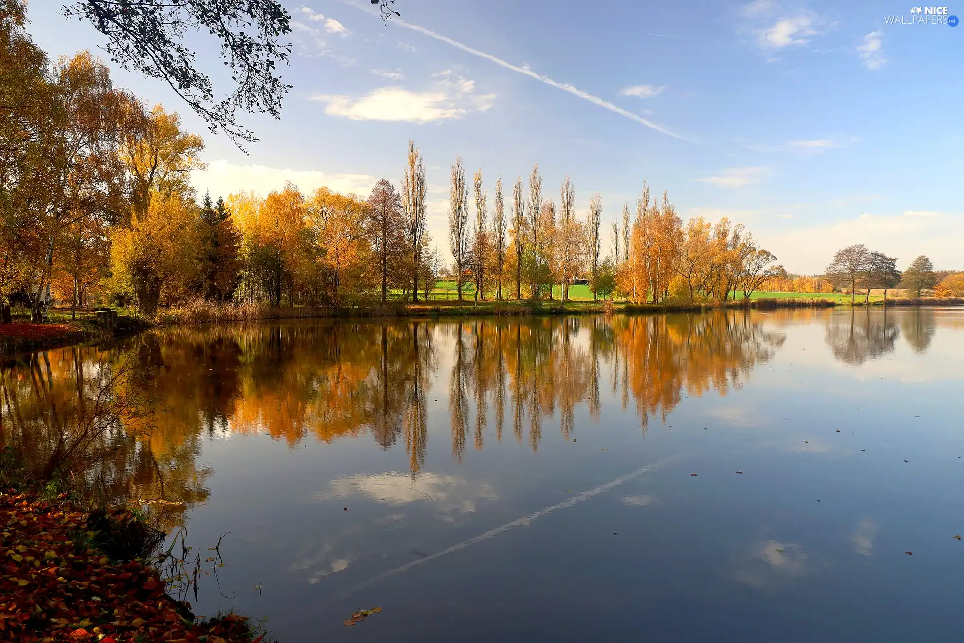 Yellowed, autumn, viewes, Sky, trees, lake