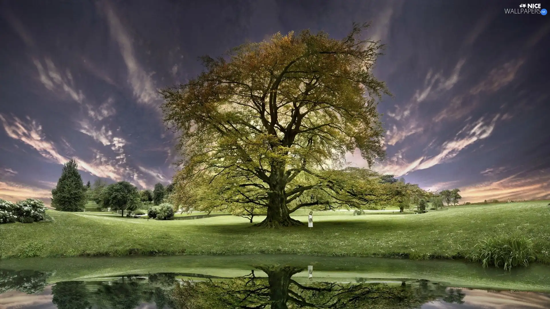 Meadow, trees, Sky, lake