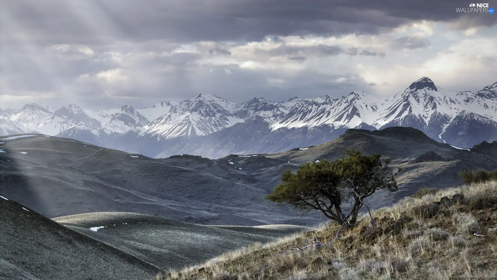 Mountains, cloudy, Sky, trees