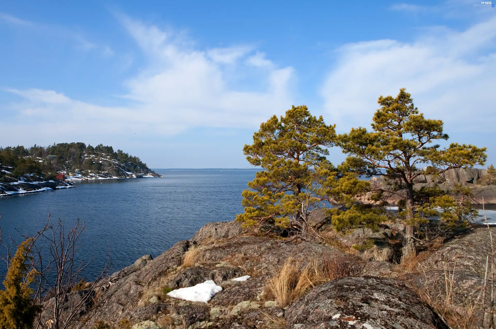 sea, viewes, Sky, trees