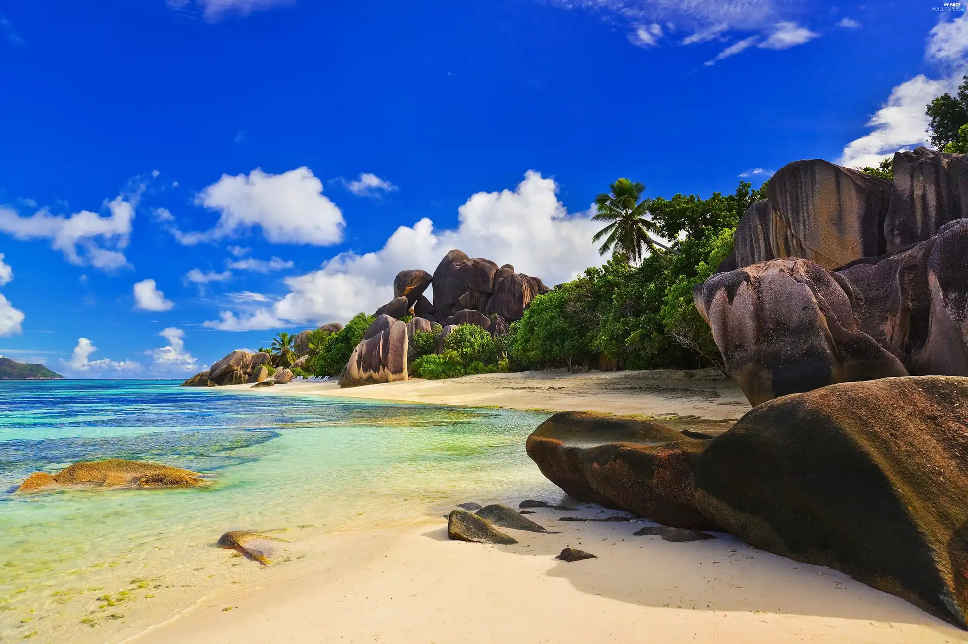 Sky, Seychelles, Beaches, Plants, rocks