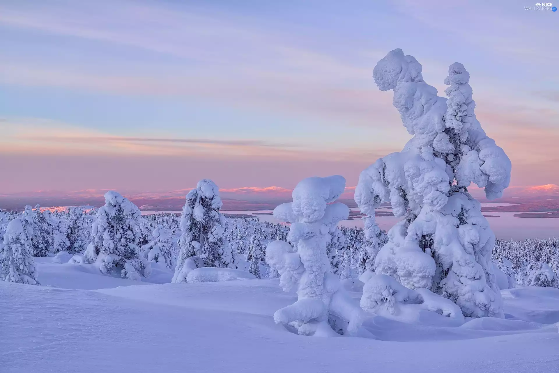 viewes, winter, Pinkish, Sky, snow, trees