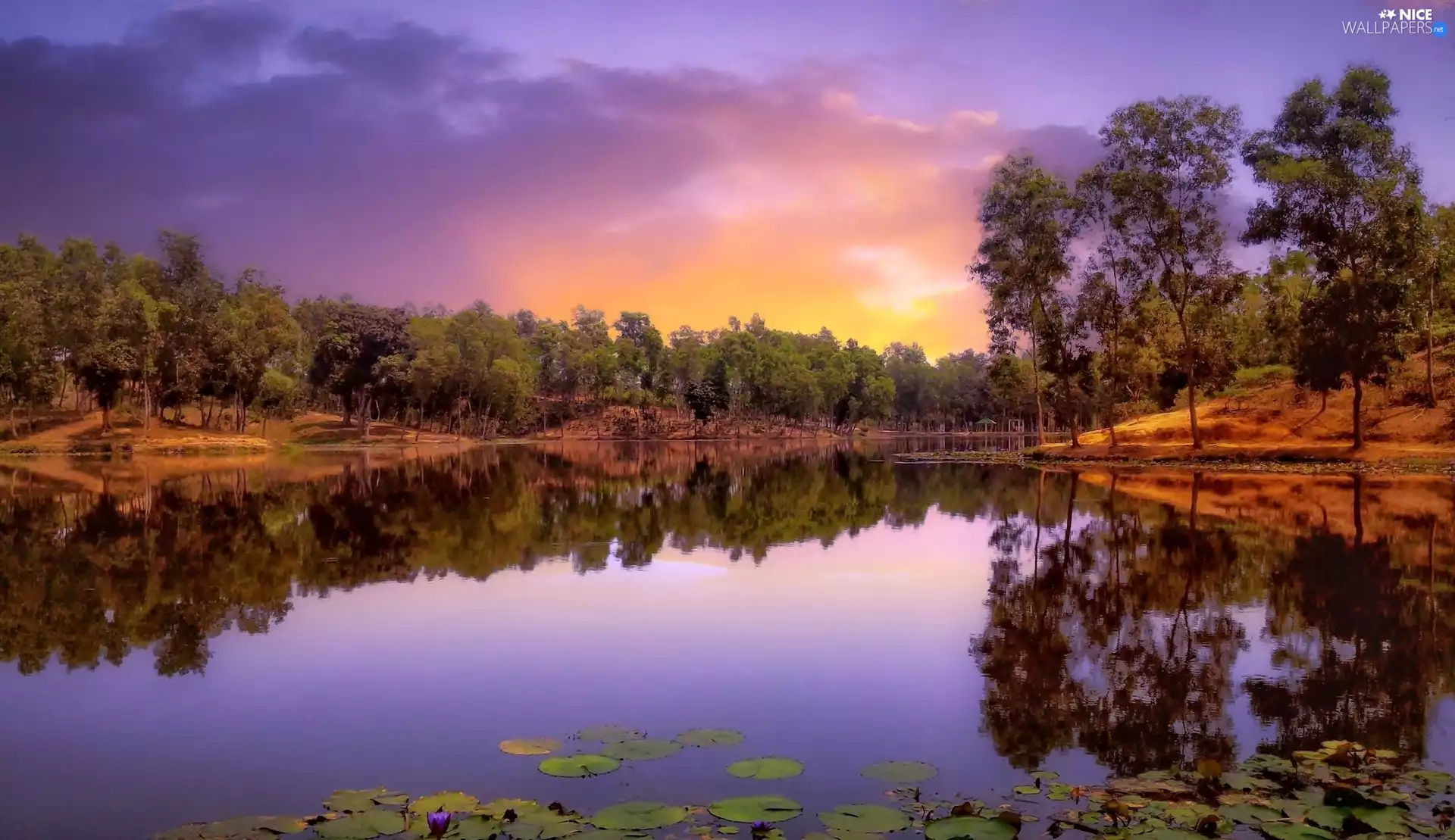 reflection, Sky, trees, viewes, River