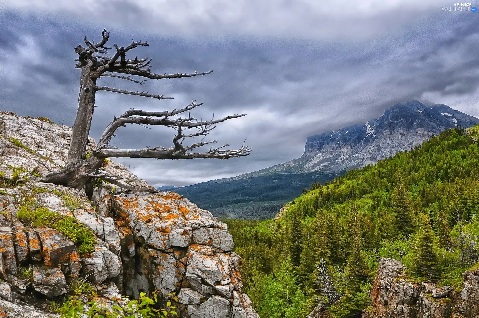 Clouds, woods, dry, rocks, Mountains, Sky, trees