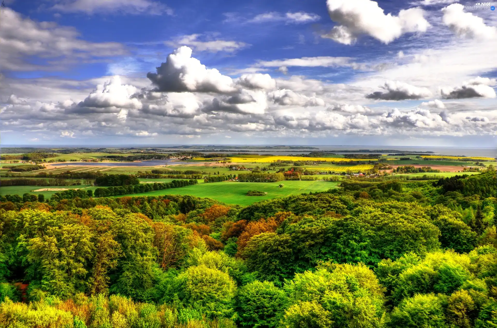 Sky, field, woods