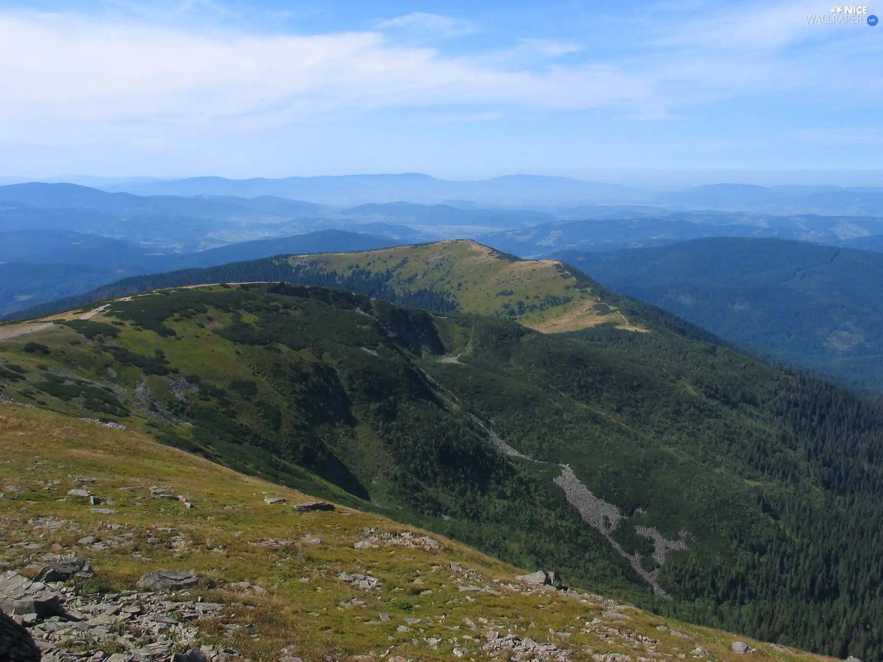 Sky, Mountains, woods