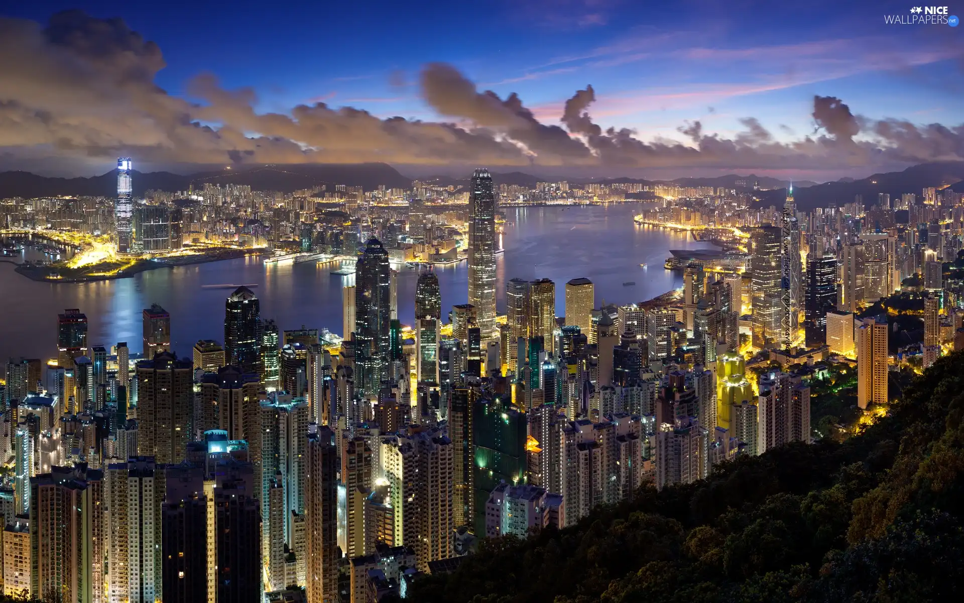 Town, light, skyscrapers, Night