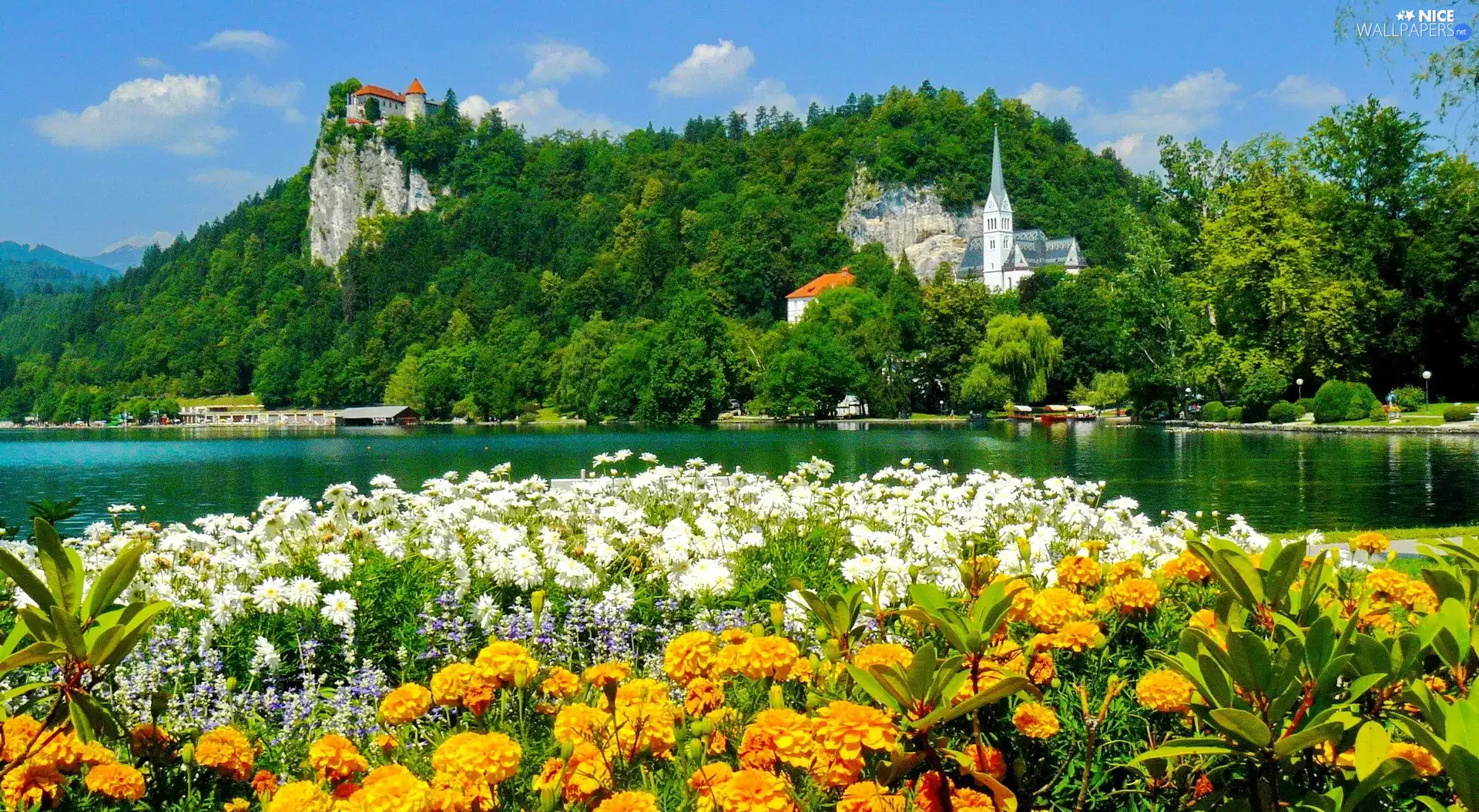 lake, church, Bled, Slovenia, Flowers, Castle