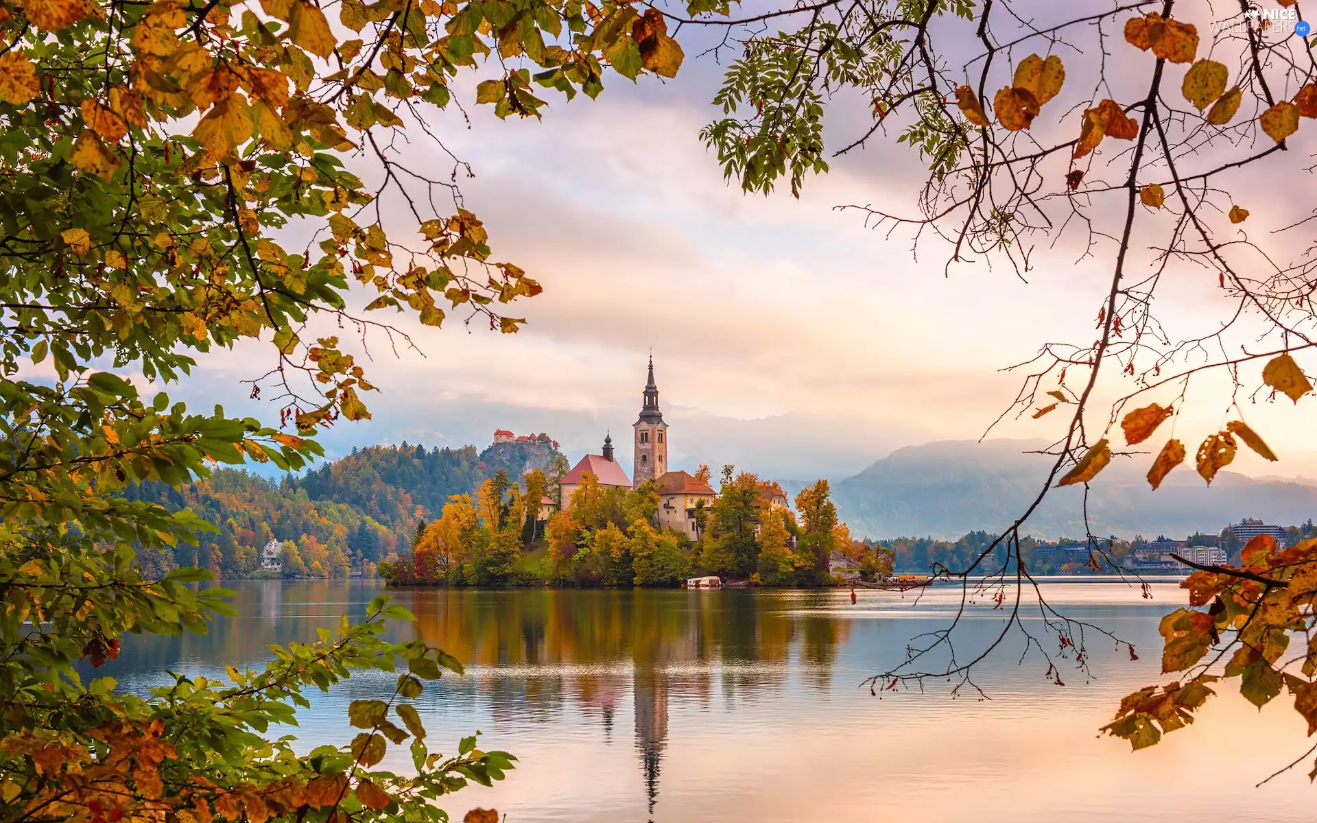 trees, Blejski Otok Island, Church, branch pics, Mountains, Slovenia, Lake Bled, autumn, viewes, Fog