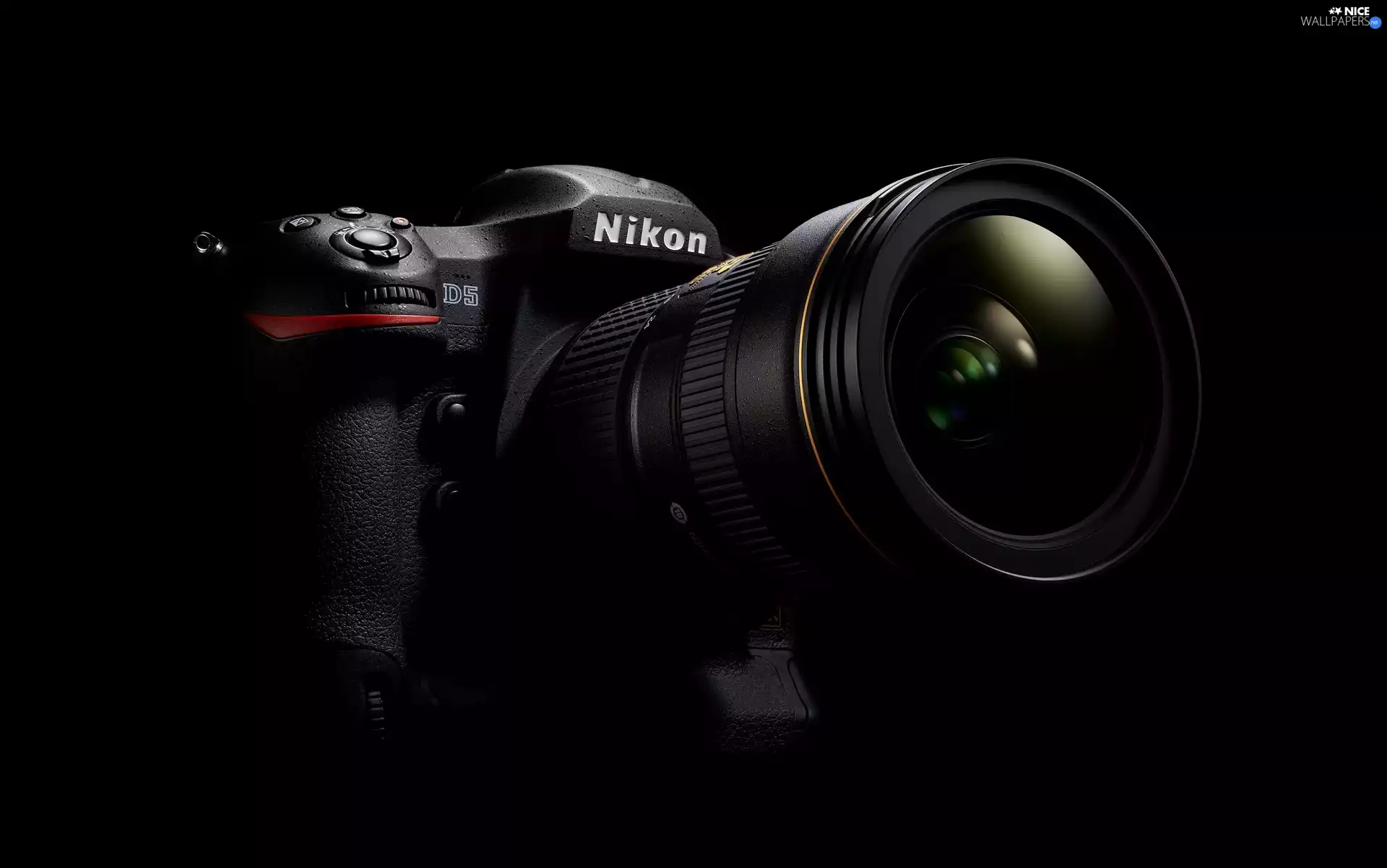 Camera, SLR, Nikon D5, Digital