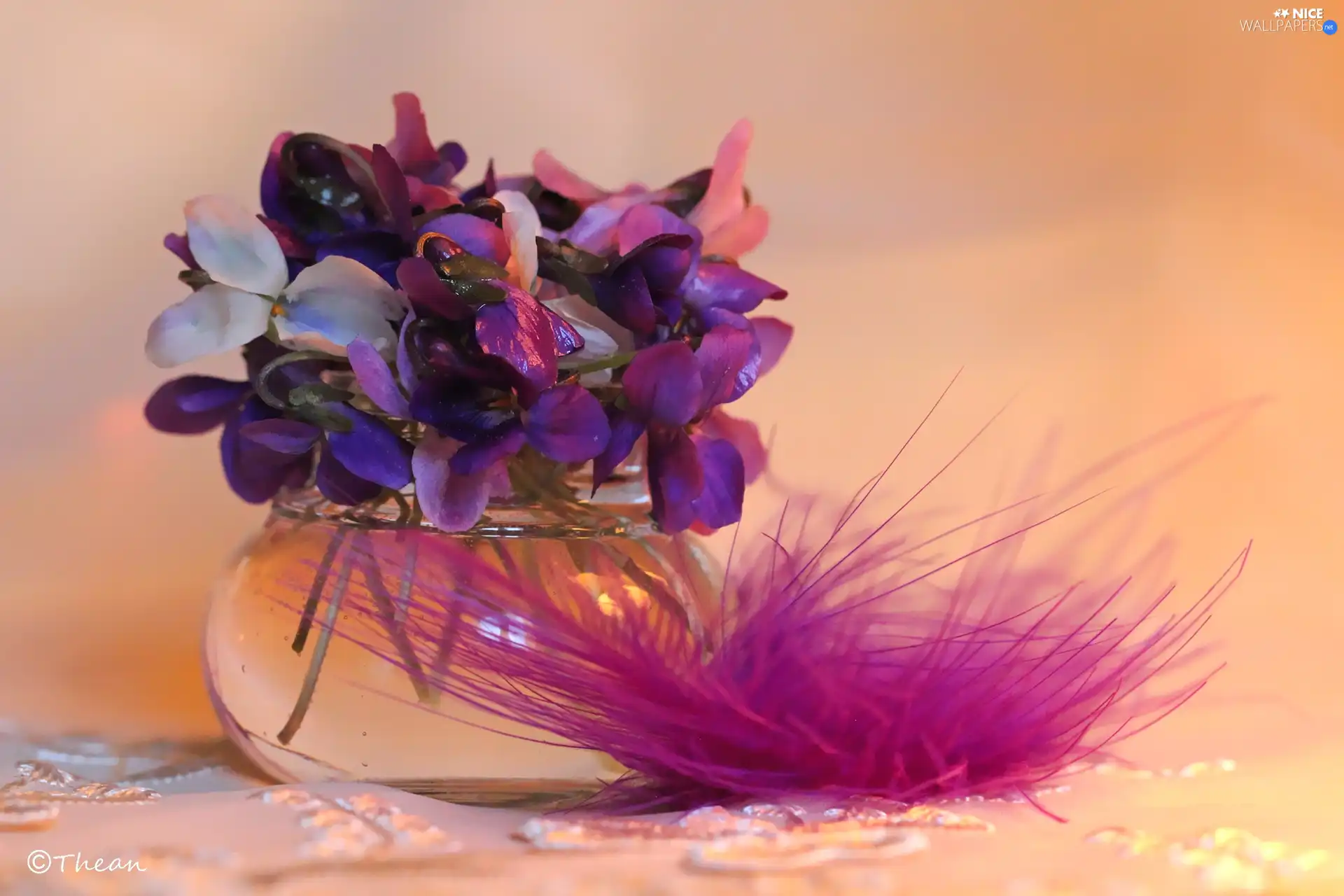 feather, fragrant violets, small bunch