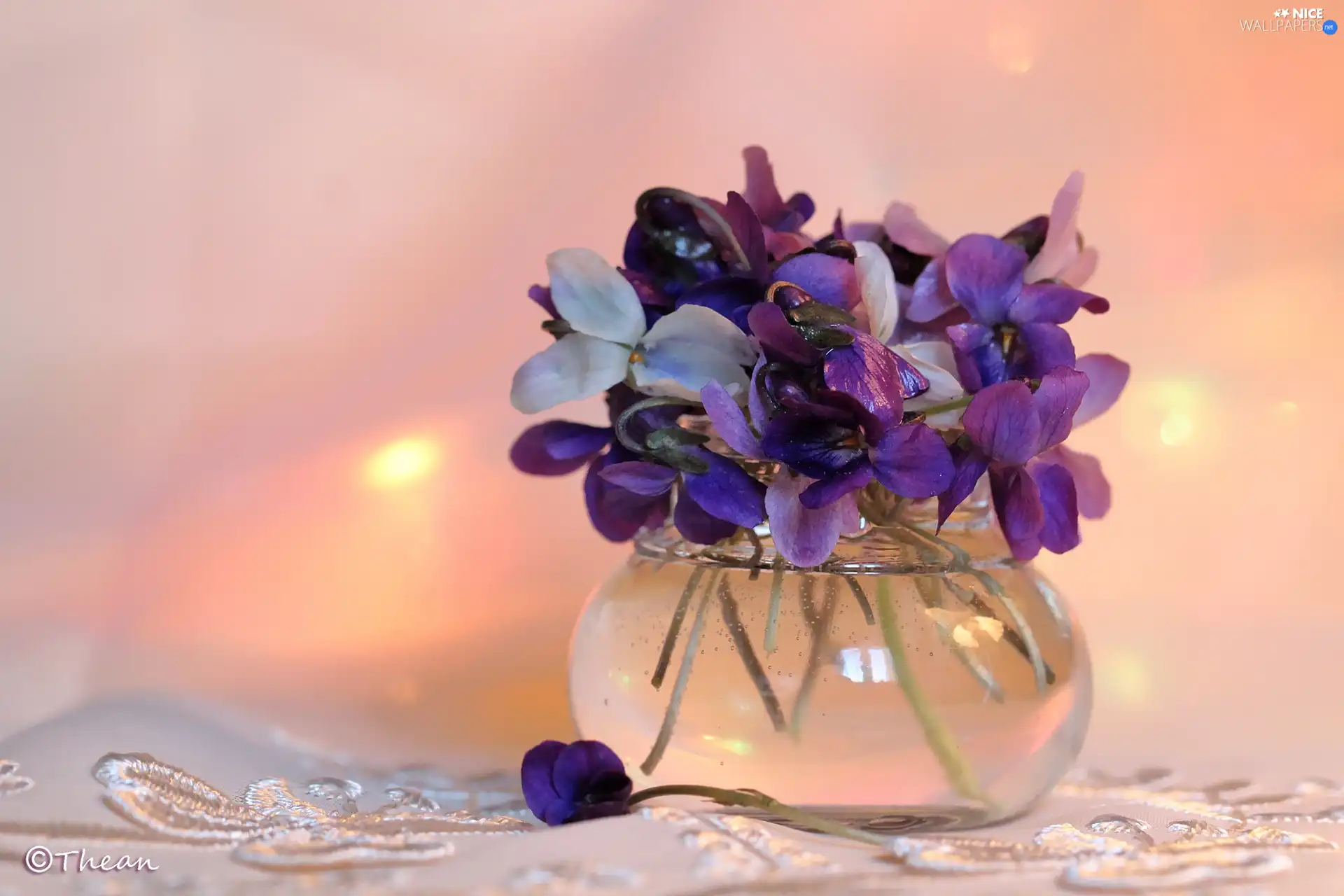 Spring, fragrant violets, small bunch