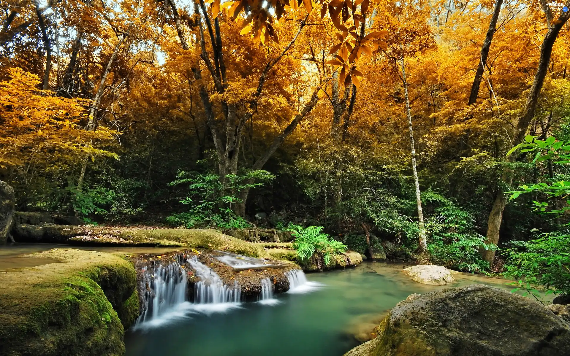 small, waterfall, trees, viewes, autumn