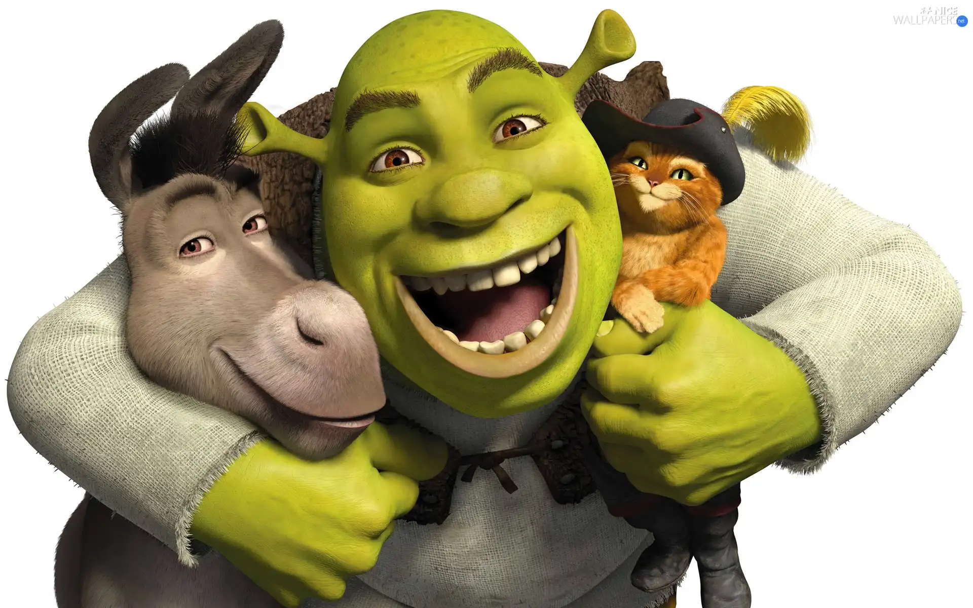 Smile, friendship, donkey, Hat, Shrek