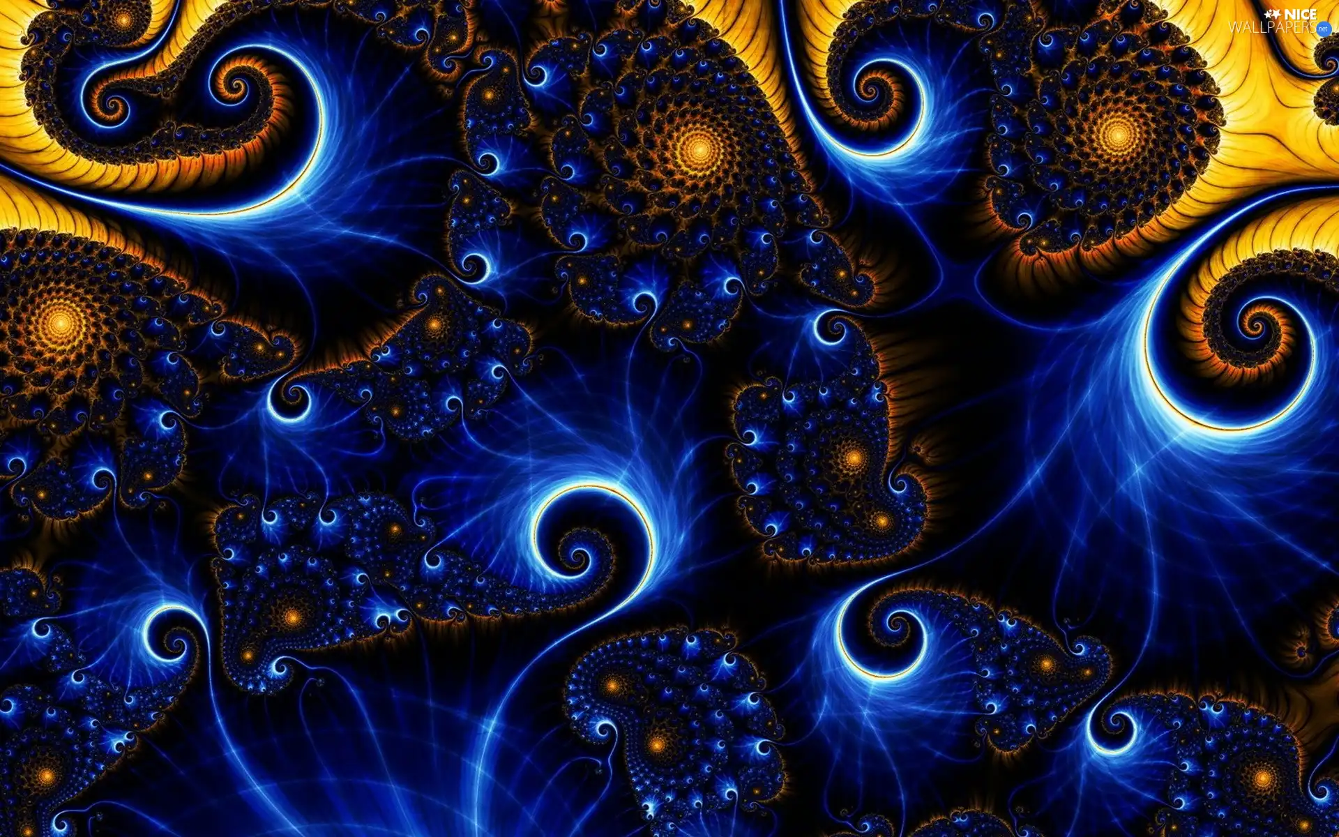 Snails, graphics, Fraktal
