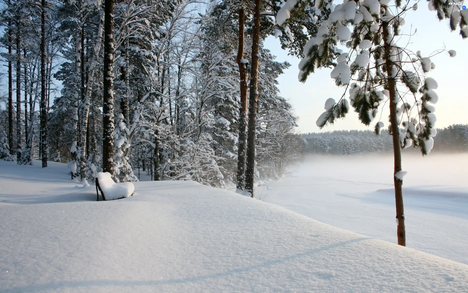 snow, forest, Bench