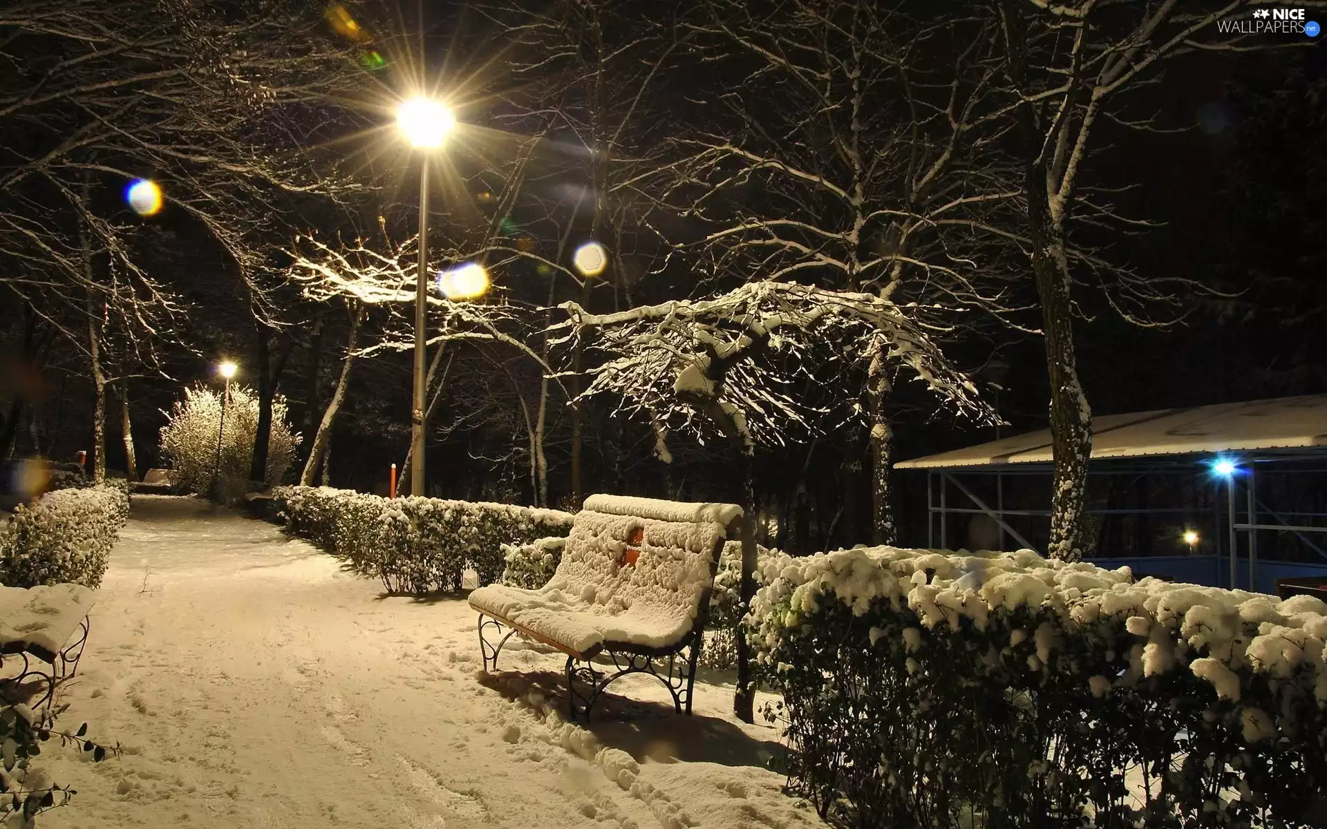 snow, winter, Bench