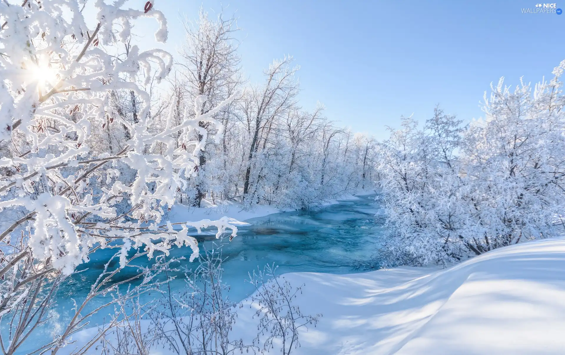 trees, River, branch pics, Snowy, winter, viewes, snow