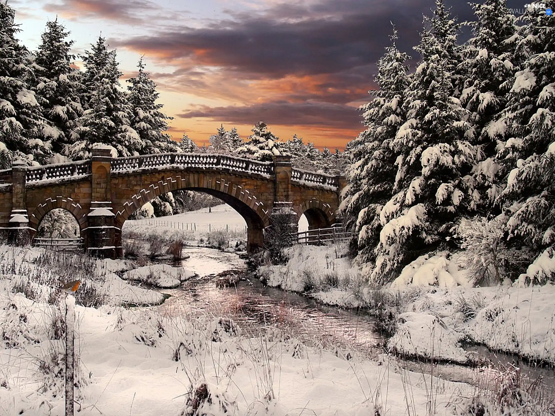 snow, bridge, trees, viewes, winter