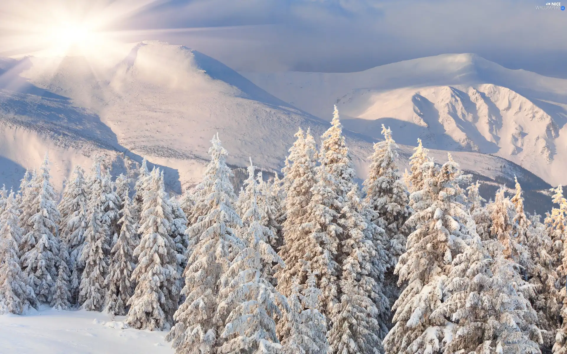 Christmas, rays of the Sun, Covered, snow, Mountains