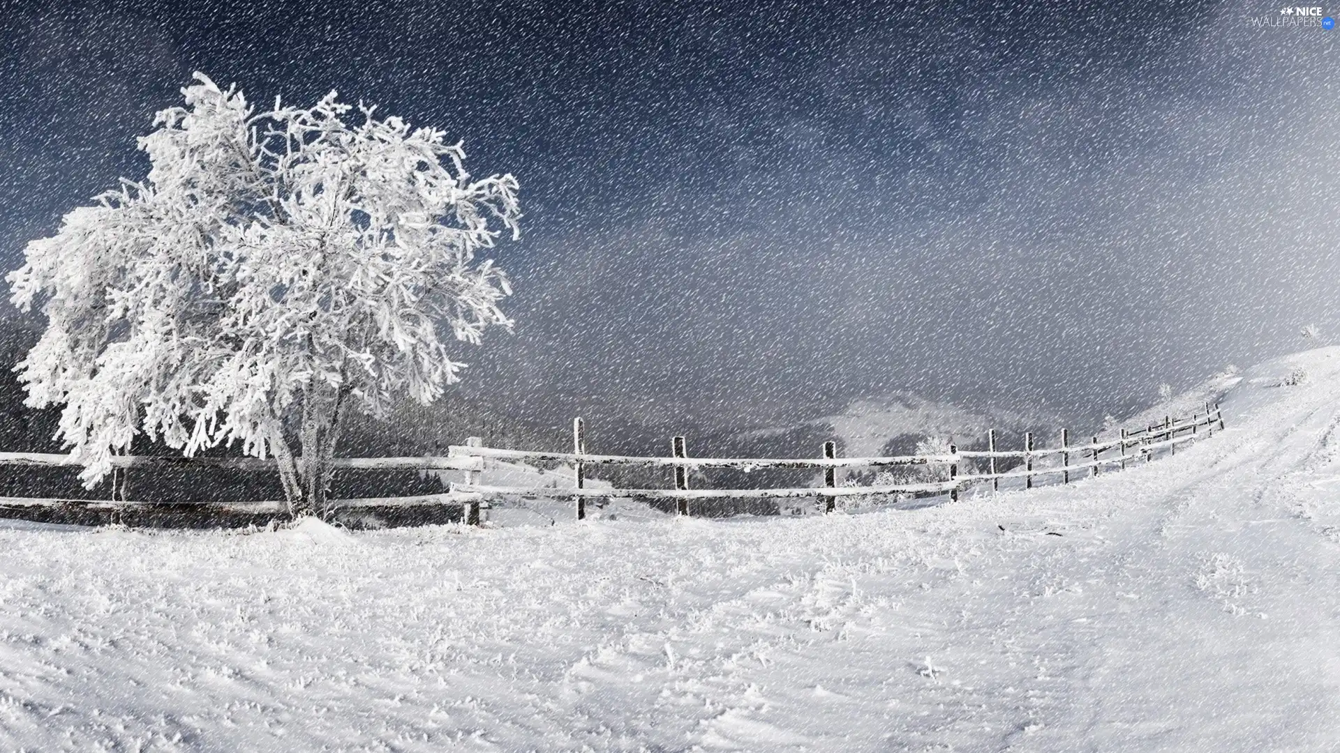 snow, fence, Snowy, trees, winter