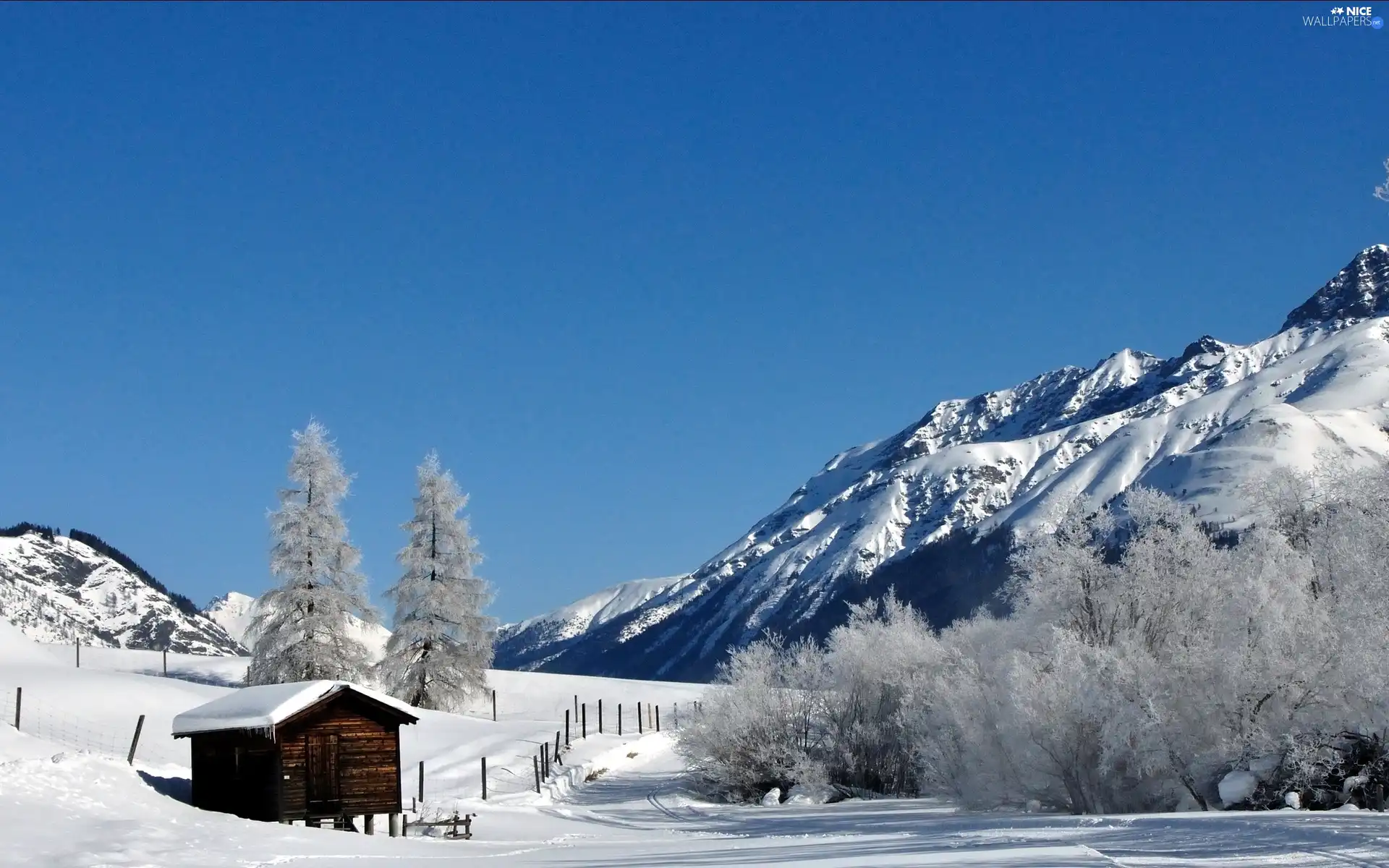 snow, forest, Snowy, Mountains, winter