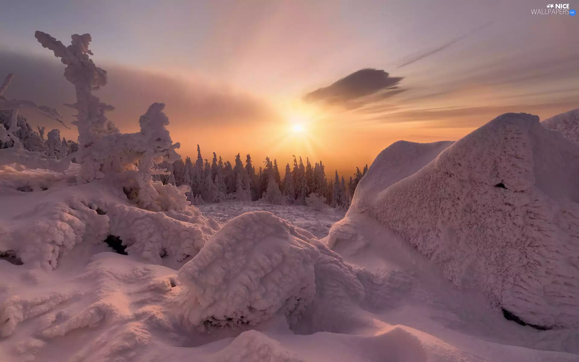 Sky, Frost, forest, drifts, trees, winter, snow, Great Sunsets, clouds, viewes